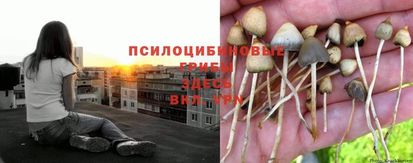 марки nbome Майский