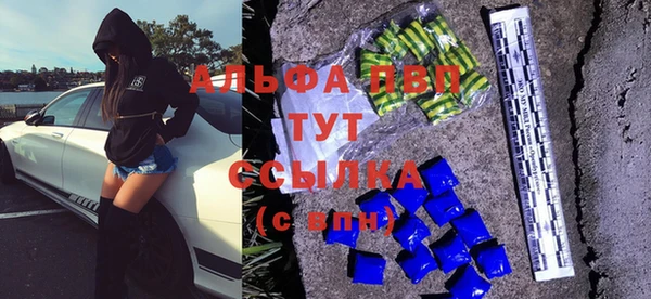 стафф Магадан