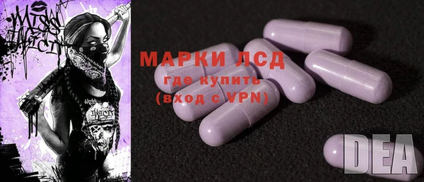 твердый Магас