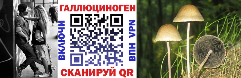 кракен зеркало  Бобров  Псилоцибиновые грибы ЛСД 